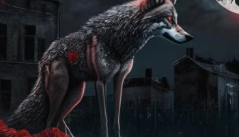Гайд на новеллу Вандер (Wander)